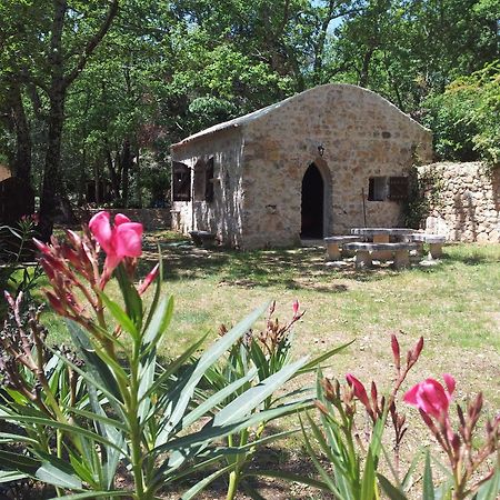 Le Donjon Des Combes Et Son Spa Fayence Exteriér fotografie